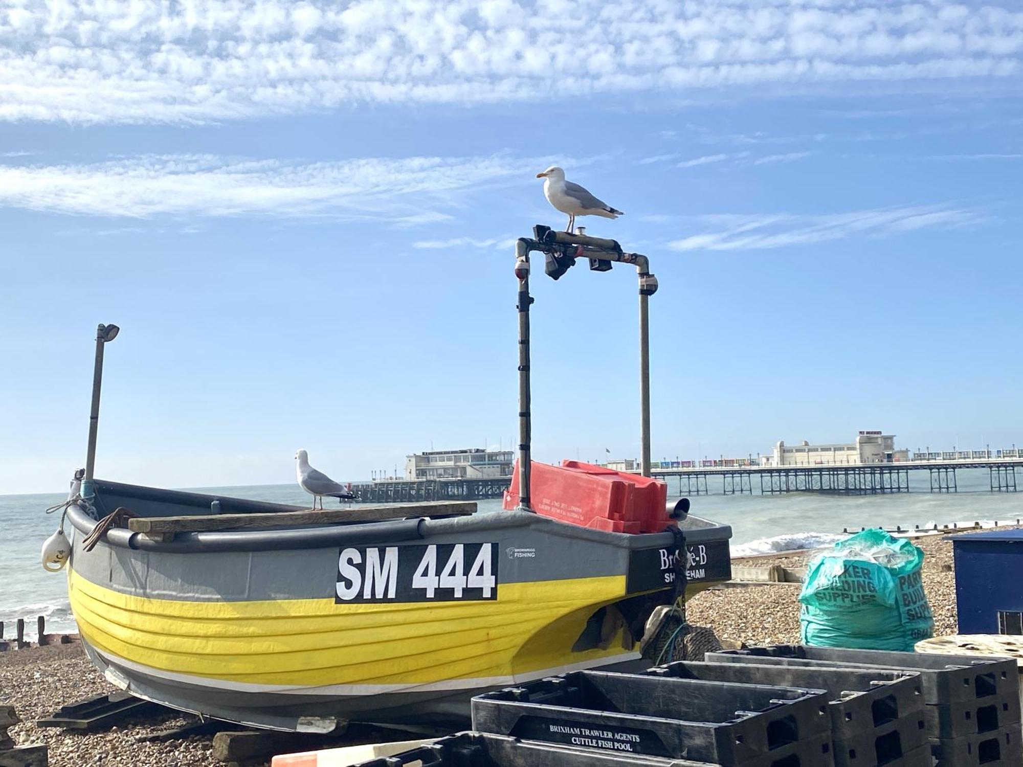 Stunning 2 Bed Apartment Sea Views And Parking Worthing Kültér fotó